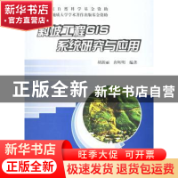 正版 斜坡工程GIS系统研究与应用 胡新丽,唐辉明 中国地质大学出