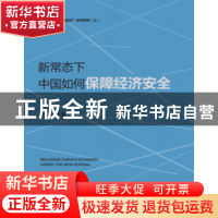 正版 新常态下 中国如何保障经济安全 李伟 中国发展出版社 97875