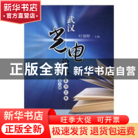 正版 武汉光电论坛系列文集:第三辑 叶朝辉主编 华中科技大学出版