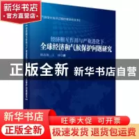 正版 经济相互作用下与产业进化下全球经济和气候保护问题研究 顾