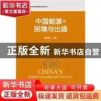 正版 中国能源的困境与出路 黄晓勇主编 社会科学文献出版社 9787