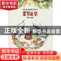 正版 圣诞节 罗殷编绘 天津人民出版社 9787201132815 书籍