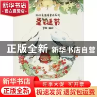 正版 圣诞节 罗殷编绘 天津人民出版社 9787201132815 书籍