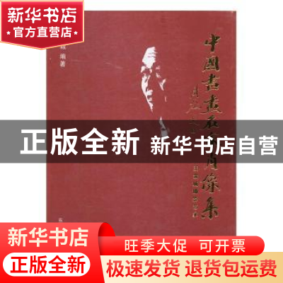 正版 中国书画名家肖像集:王金城摄影艺术 王金城编著 东南大学