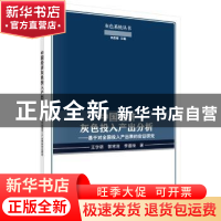 正版 中国经济灰色投入产出分析:基于对全国投入产出表的实证研究