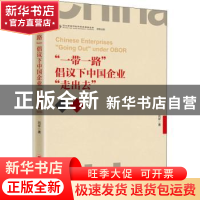 正版 “一带一路”倡议下中国企业“走出去” 刘祥著 中国经济出