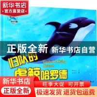 正版 归队的虎鲸哈罗德 糖朵朵文 海洋出版社 9787521002096 书籍