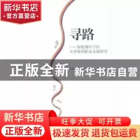 正版 寻路:制度规约下的大学教师职业生涯研究 吴艳茹 中国社会科