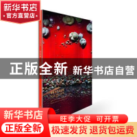 正版 中国艺术研究院著名艺术家精品集:朱乐耕:Zhu Le Geng 谭平