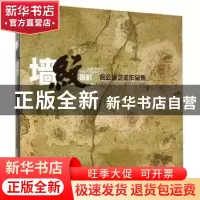正版 墙纹摄影:徐公诚艺术作品集:Xu Gongcheng's art portfolio