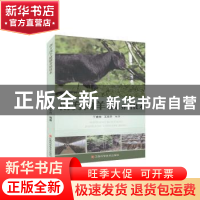 正版 南方肉羊健康养殖技术 未知 江西科学技术出版社 9787539066