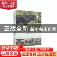 正版 南方肉羊健康养殖技术 未知 江西科学技术出版社 9787539066