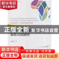 正版 中非产能合作中的集群式投融资 高连和著 经济科学出版社 97