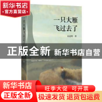 正版 一只大雁飞过去了 童道明著 四川文艺出版社 9787541145018