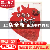 正版 草莓在北京 中共北京市委农村工作委员会,北京市农村工作委
