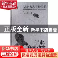 正版 湖北省古生物图册(5半索脊索动物)(精) 编者:朱厚伦//马元|