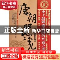 正版 唐朝那些事儿:肆:开元盛世卷 冬雪心境著 中国工人出版社 97