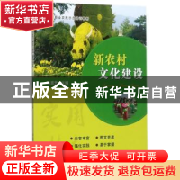 正版 新农村文化建设 孙惠芳主编 中国农业出版社 9787109230088