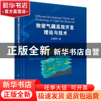 正版 致密气藏高效开发理论与技术 王香增 科学出版社 9787030654