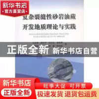 正版 复杂裂缝性砂岩油藏开发地质理论与实践 王志章[等]著 石油