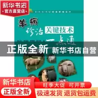 正版 羊病诊治关键技术一点通 薛占永,米同国,呼秀智,黄占欣