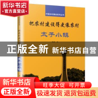 正版 把农村建设得更像农村:太子小镇 柳建著 江苏凤凰科学技术出