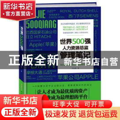 正版 世界500强人力资源总监管理笔记 尹剑峰,颜春龙,陈锦 北京时