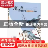 正版 魔法色超写实彩铅技法教程 王晓雪 华中科技大学出版社 9787