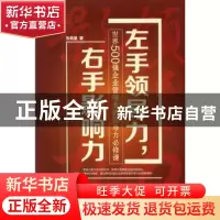 正版 左手领导力,右手影响力:世界500强企业管理者的领导力必修
