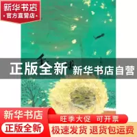 正版 灯笼街童话--毛毛球 左昡著 新蕾出版社 9787530763803 书籍
