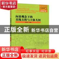 正版 向量观念下的直线方程与立体几何 赵生初 哈尔滨工业大学出