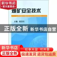 正版 煤矿安全技术 张美红主编 山西人民出版社 9787203070733 书