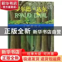 正版 小不点儿人 (英)罗尔德·达尔(Roald Dahl)著 明天出版社 978
