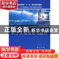 正版 软件工程理论与应用 杨丰 主 北京大学出版社 9787301130704