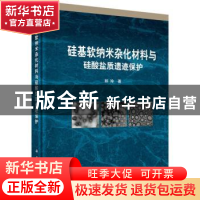 正版 硅基软纳米杂化材料与硅酸盐质遗迹保护 和玲 科学出版社 97