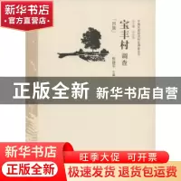 正版 宝丰村调查:回族 张建平 中国经济出版社 9787513624282 书