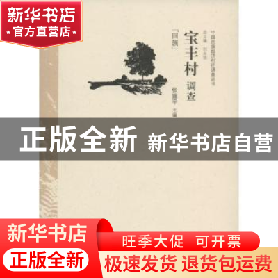 正版 宝丰村调查:回族 张建平 中国经济出版社 9787513624282 书