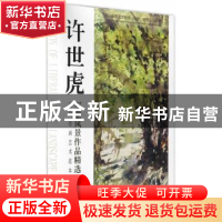 正版 当代绘画艺术范本:许世虎写意风景作品精选 许世虎编著 重