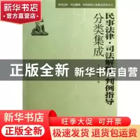 正版 民事法律·司法解释·判例指导分类集成 本书编辑组编 中国民