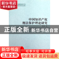 正版 中国知识产权刑法保护理论研究 黄洪波著 中国社会科学出版