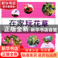 正版 在家玩花草 她品主编 农村读物出版社 9787504855374