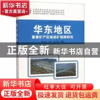 正版 华东地区重要矿产区域成矿规律研究 班宜忠等著 中国地质大