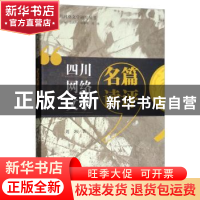 正版 四川网络文学名篇读评 周冰著 四川大学出版社 978756902296