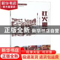 正版 社火傩韵:冀南地区民间社火研究 朱振华[等]著 学苑出版社