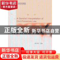 正版 民事诉讼法学通论 洪冬英主编 北京大学出版社 978730123126