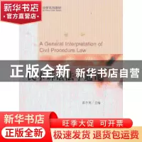 正版 民事诉讼法学通论 洪冬英主编 北京大学出版社 978730123126