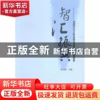 正版 智汇振兴:沈阳市2013年决策咨询重大研究课题集 朱文蔚主编