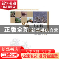 正版 中国铁皮石斛病虫害及防控 赵桂华,蒋继宏,赵楠 著 中国