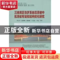 正版 三峡库区侏罗系地层滑坡中抗滑桩布设和结构优化研究 李长冬