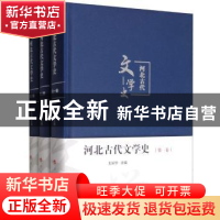 正版 河北古代文学史(全三卷) 王长华 人民出版社 9787010175997